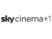 sky cinema +1 Deutschland (sky Deutschland AG / News Corporation, Inc. USA)